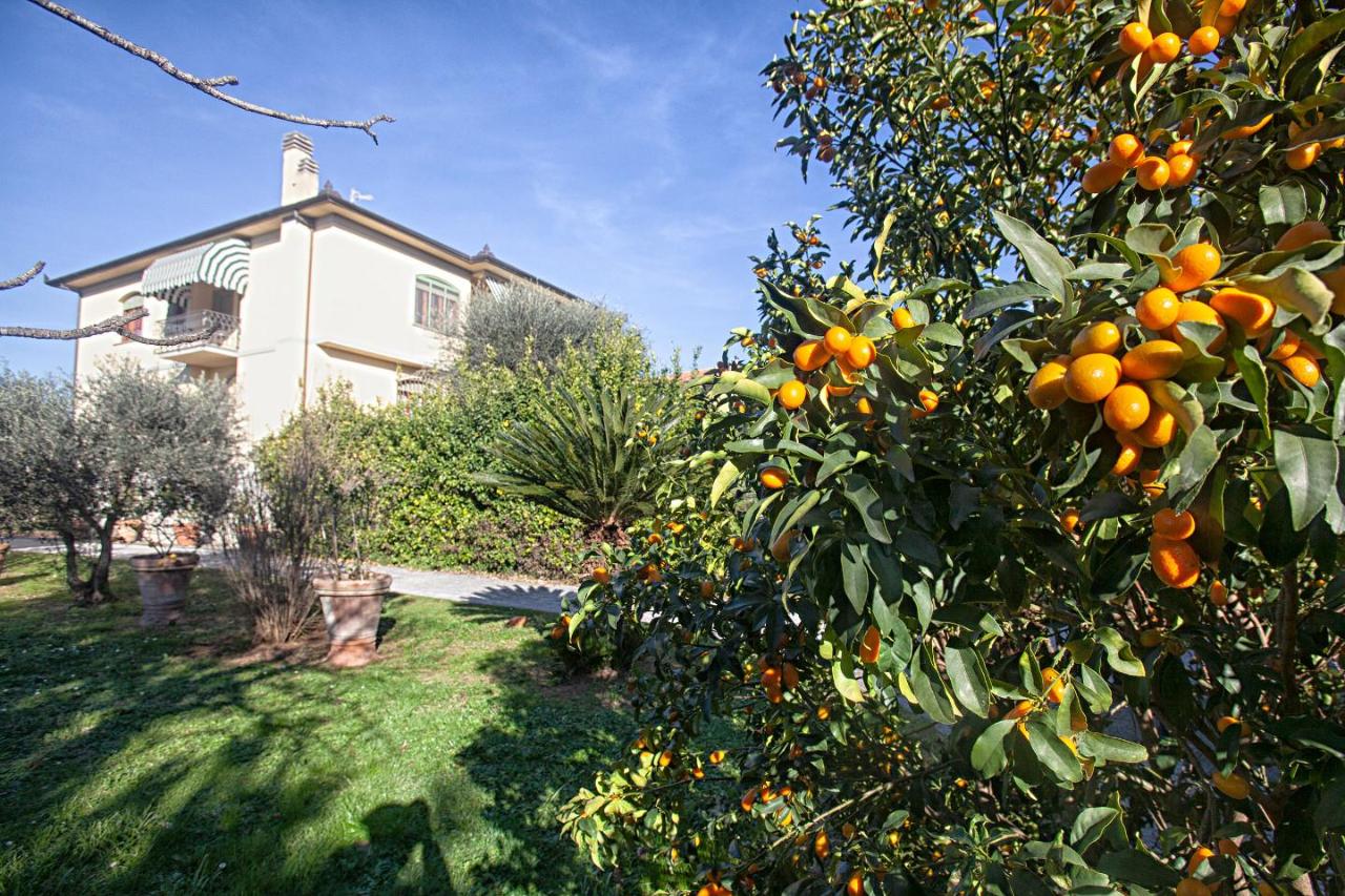 casa indipendente in vendita a San Giuliano Terme in zona Pontasserchio