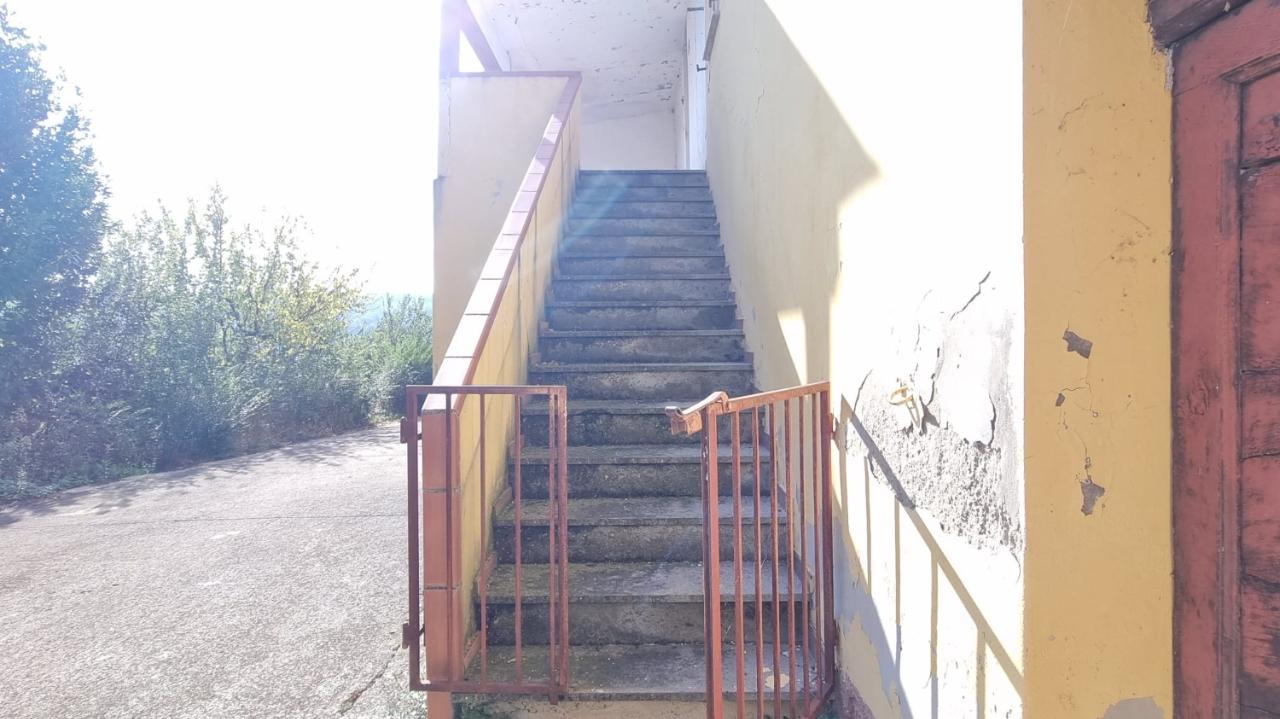 immagine annuncio 5 di 14