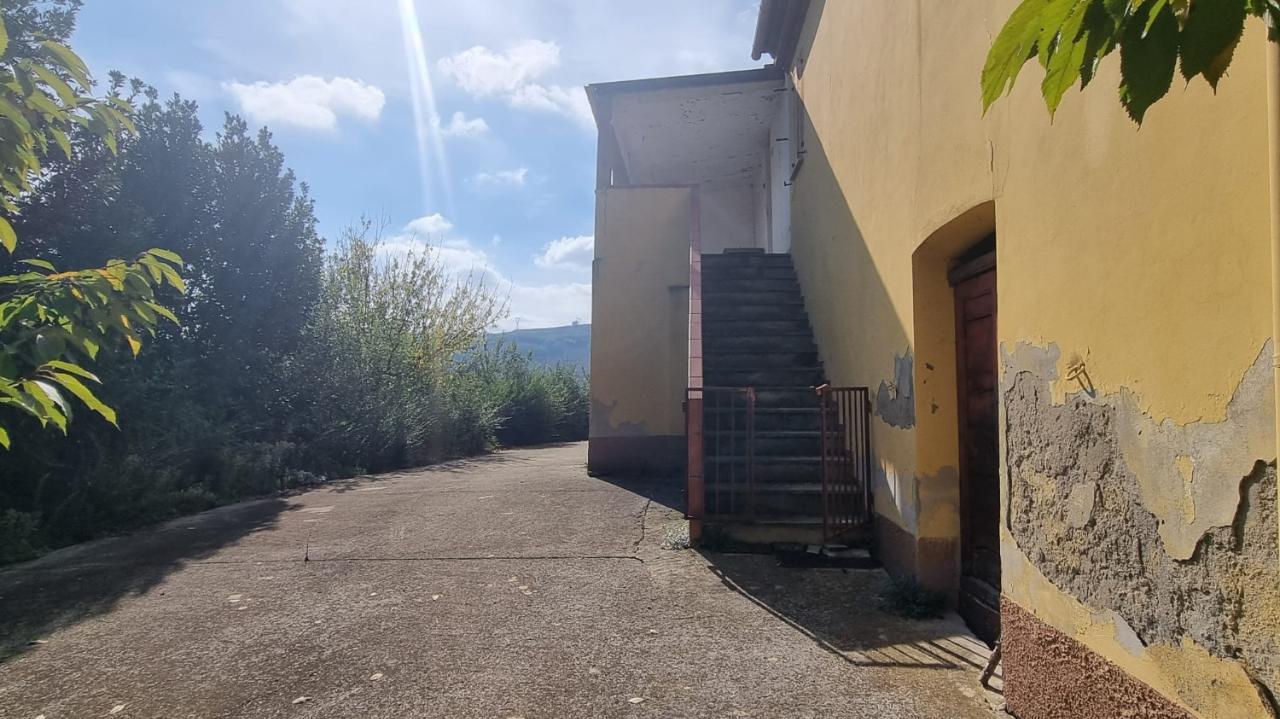immagine annuncio 4 di 14
