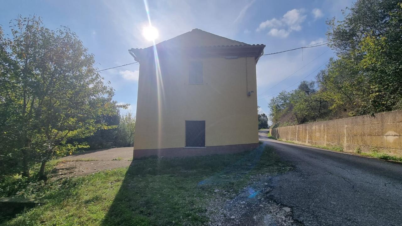 immagine annuncio 3 di 14