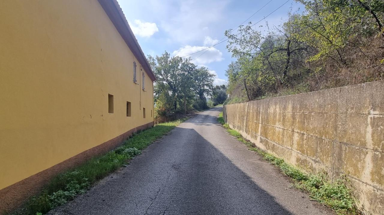 immagine annuncio 12 di 14