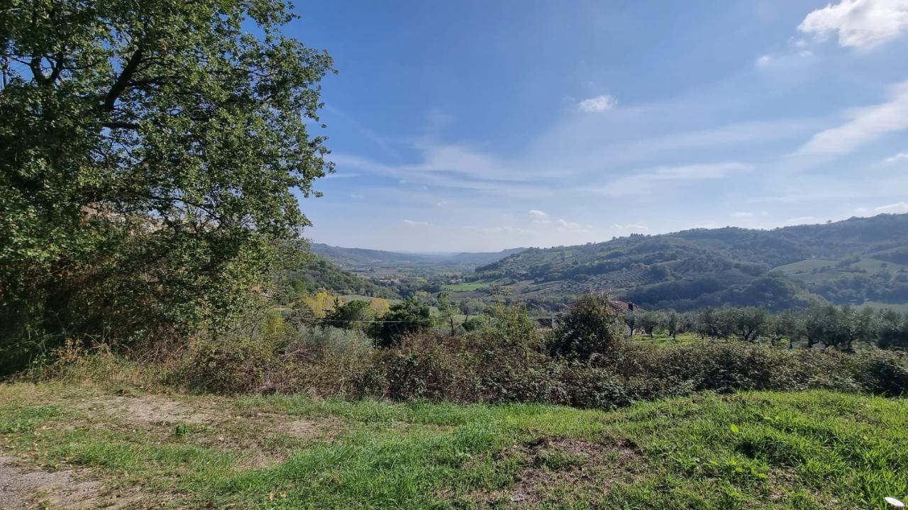 immagine annuncio 11 di 14