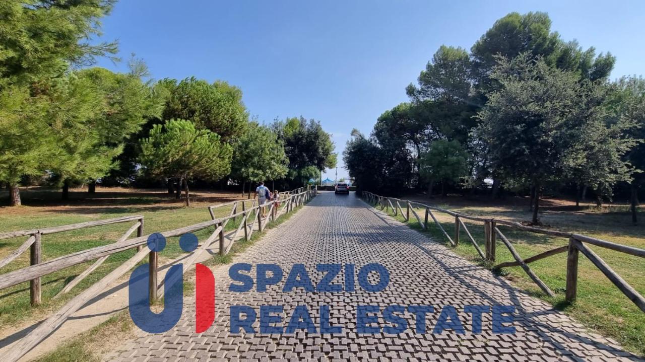 immagine annuncio 1 di 6
