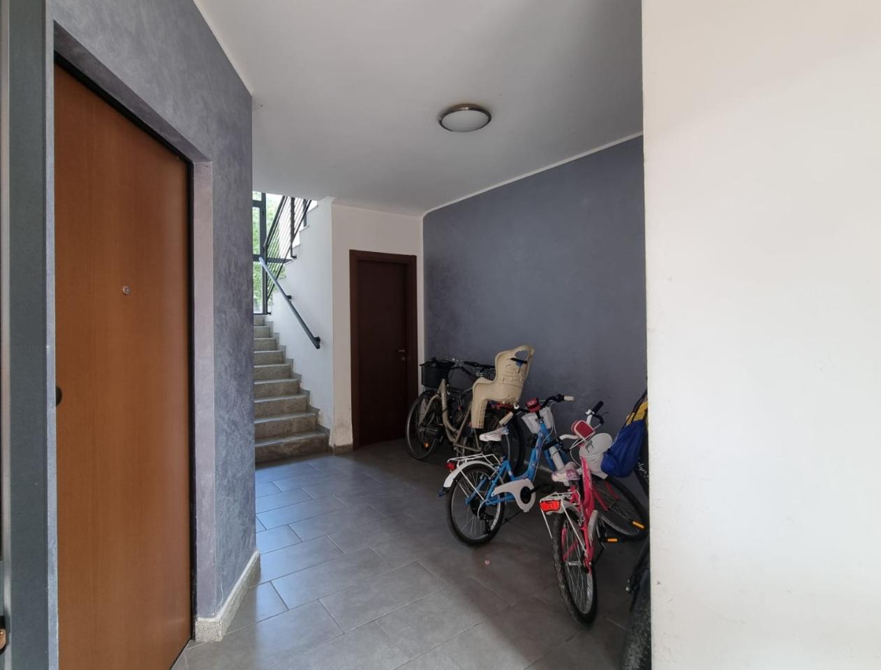 immagine annuncio 2 di 13