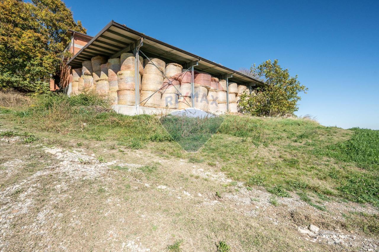 Azienda agricola in Strada della Posta 3/a, Neviano Degli Arduini, {3} - Foto 2