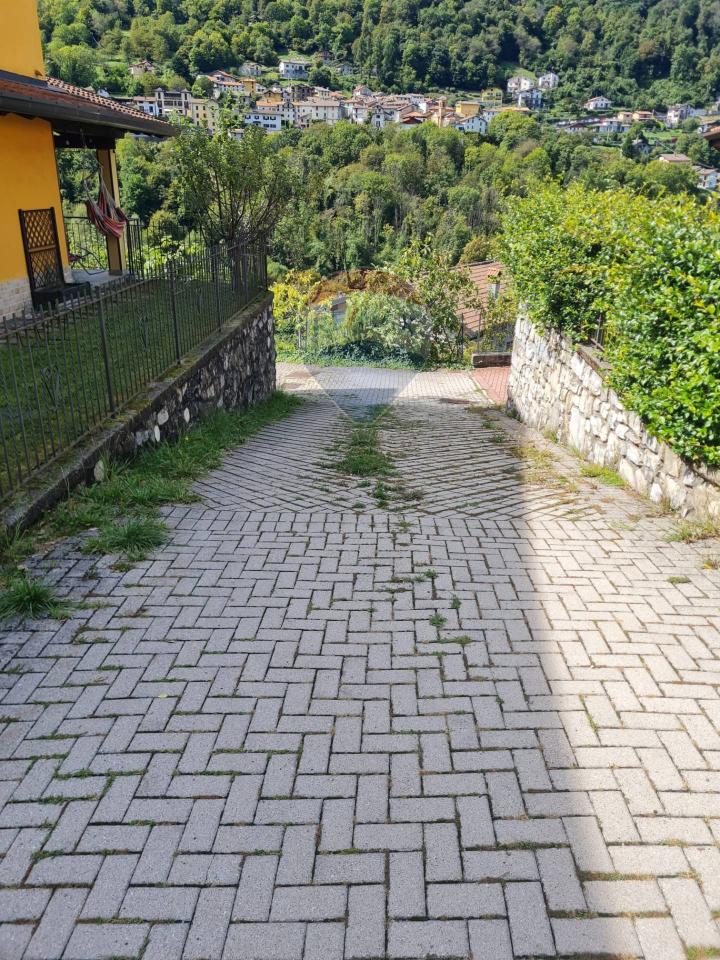 immagine annuncio 9 di 14