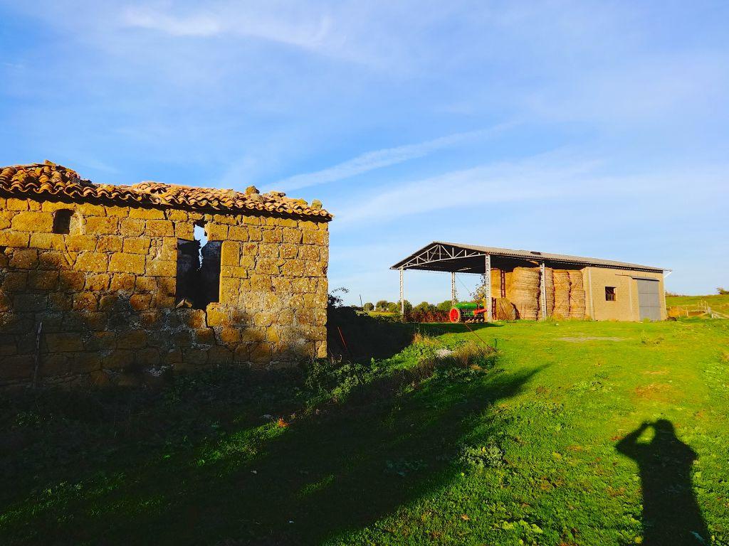Azienda agricola in , Pitigliano - Foto 1