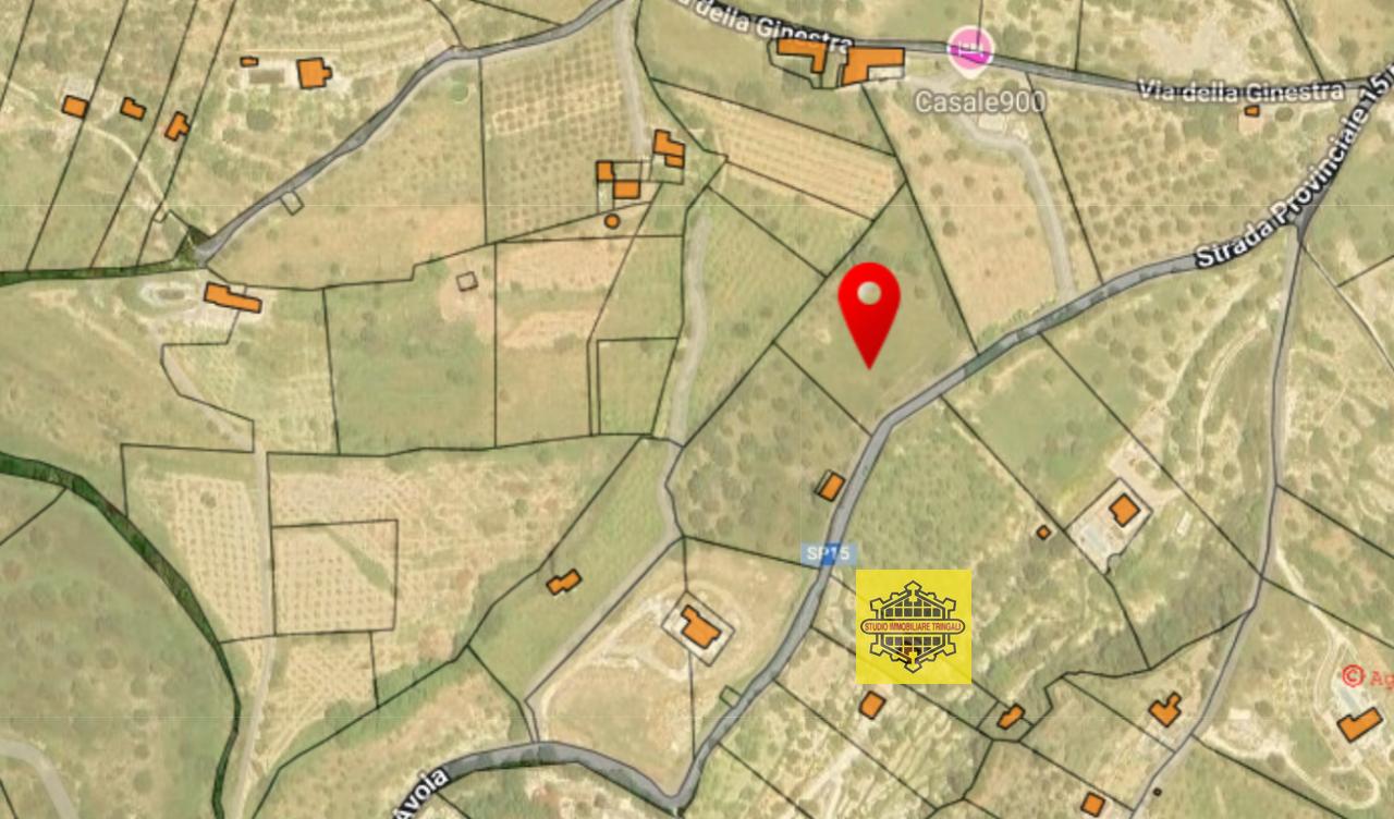 immagine annuncio 4 di 9