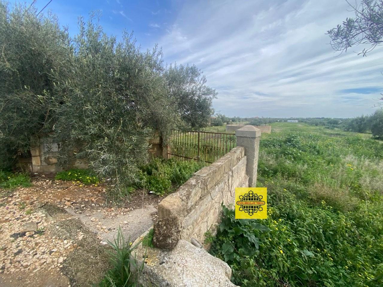 immagine annuncio 5 di 11