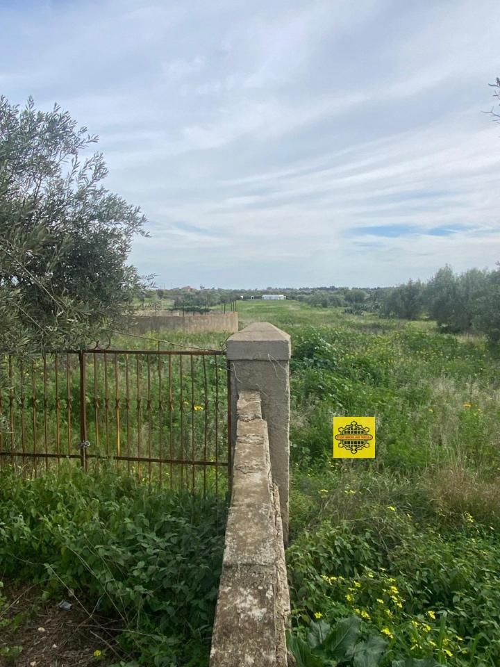 immagine annuncio 6 di 11
