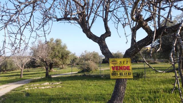 Terreno agricolo, Pachino - Foto 1