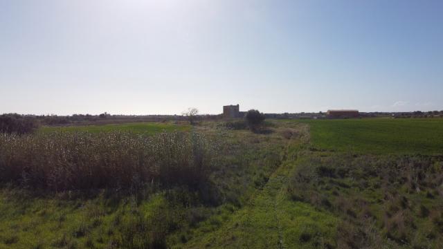 Terreno agricolo, Noto - Foto 1