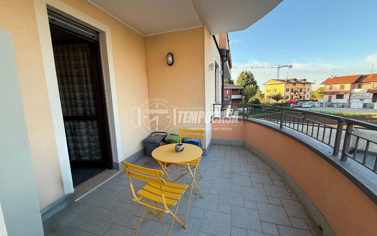 immagine annuncio 12 di 15