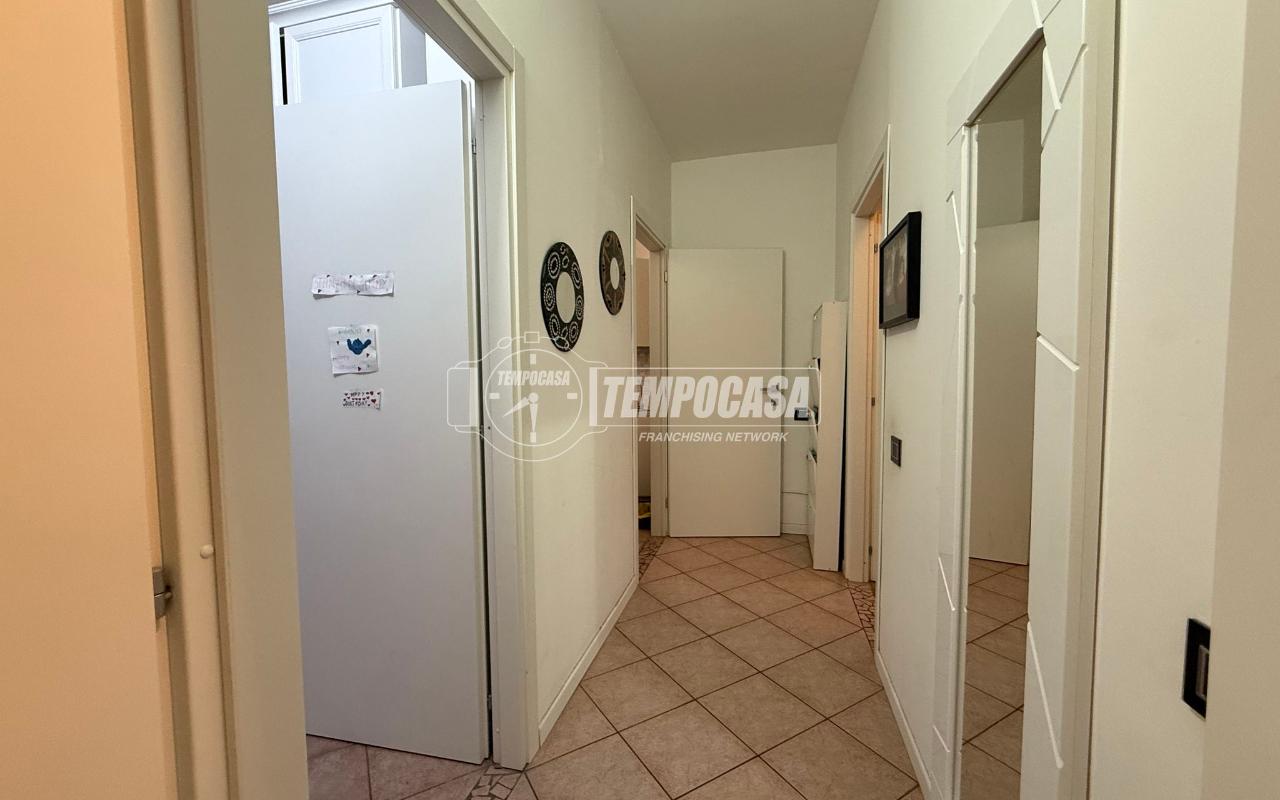 immagine annuncio 11 di 14