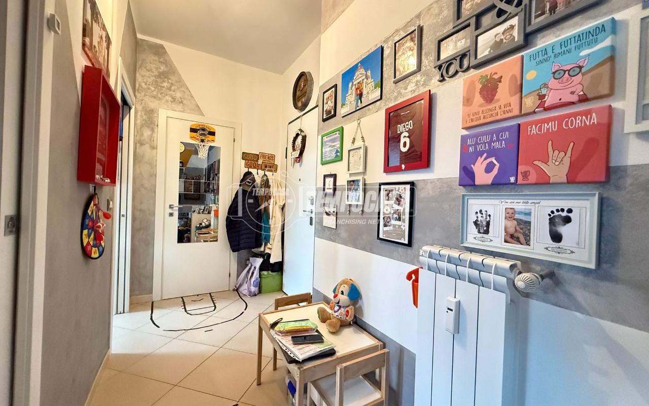 immagine annuncio 7 di 14