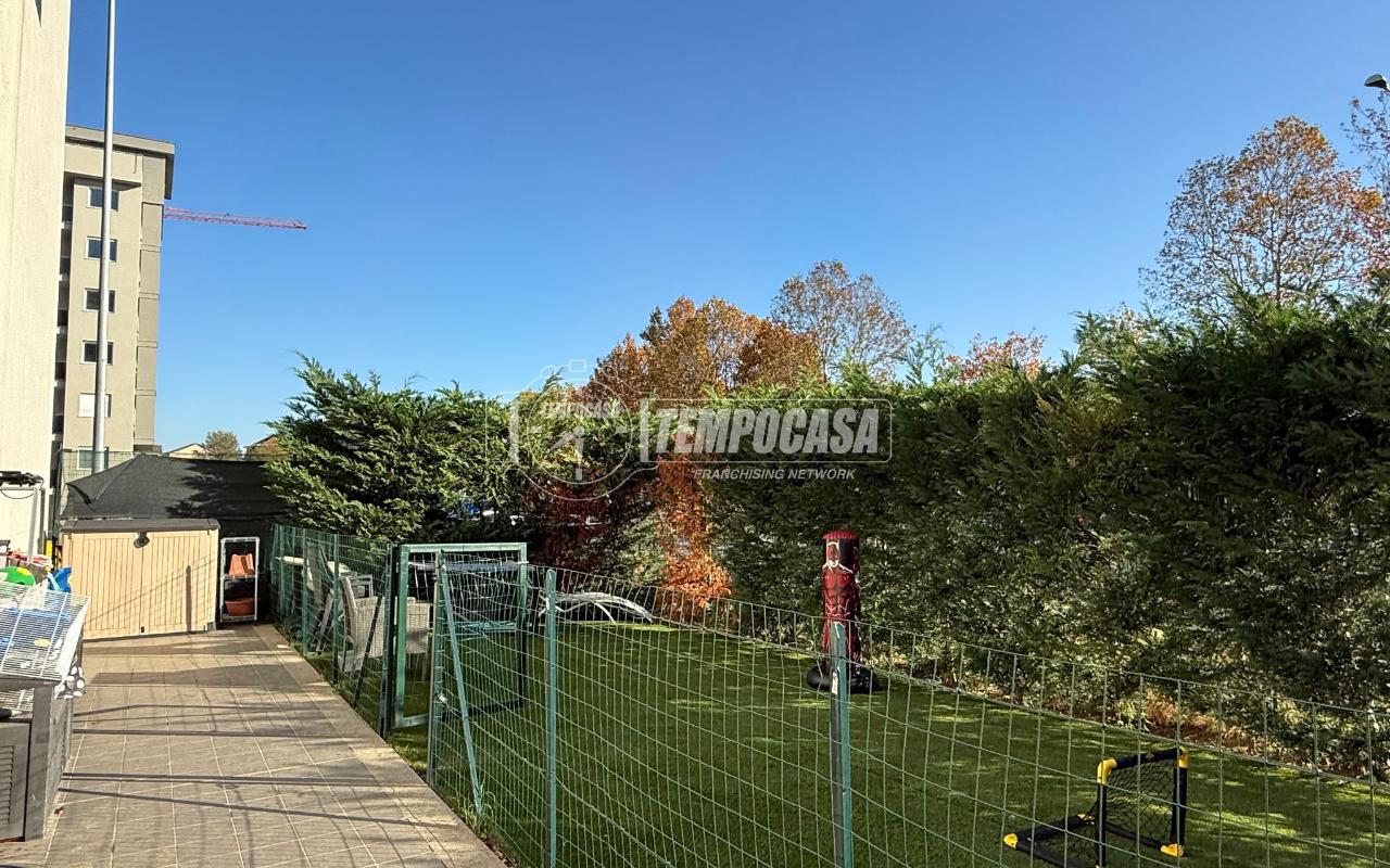 immagine annuncio 4 di 15