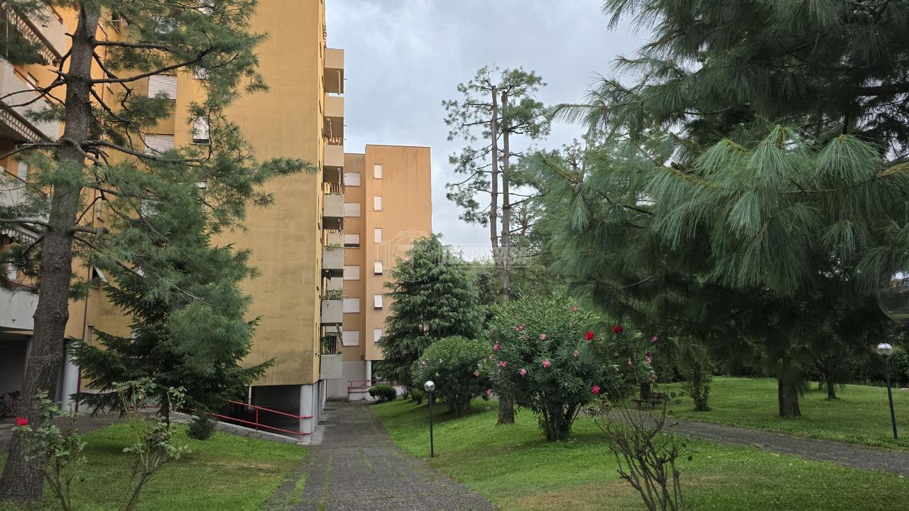 immagine annuncio 2 di 8