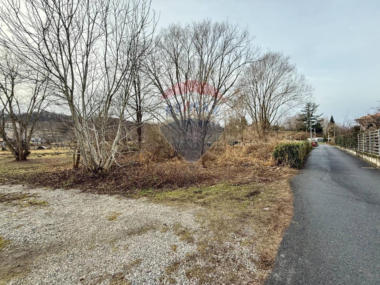 immagine annuncio 4 di 6