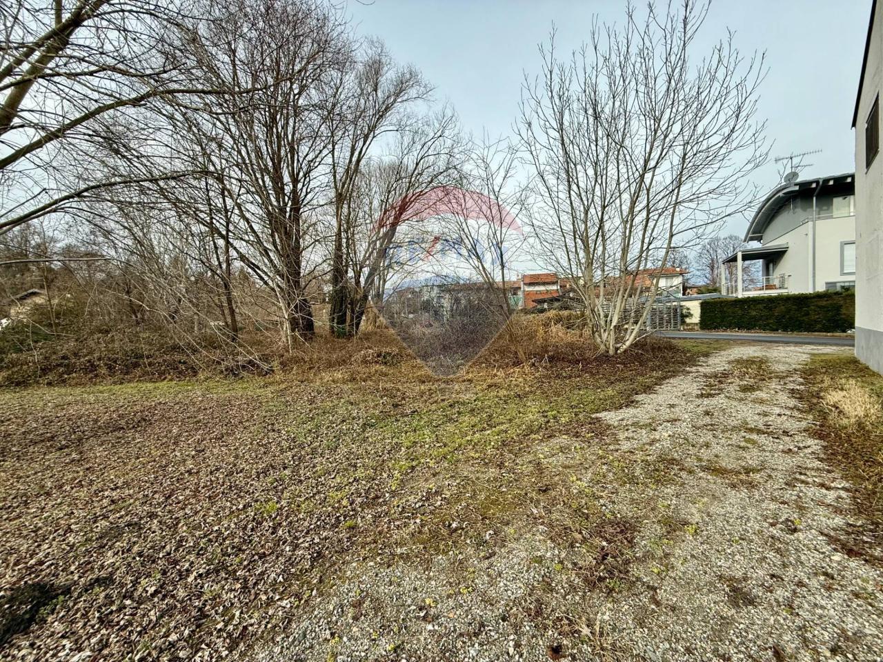 immagine annuncio 2 di 6