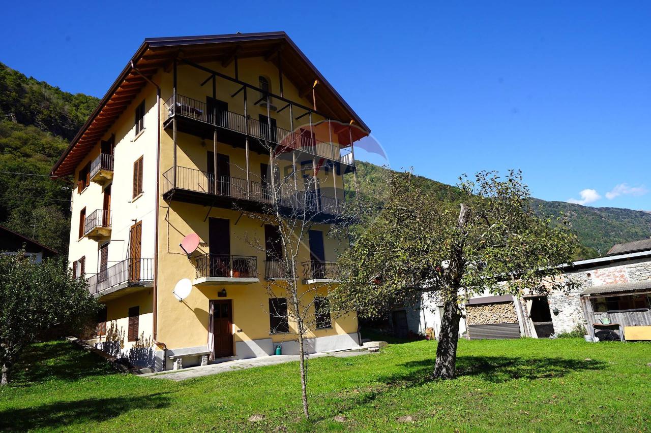 immagine annuncio 3 di 14