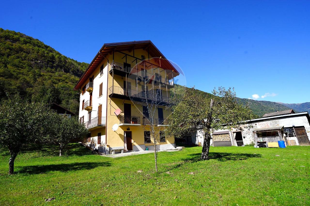 immagine annuncio 2 di 14
