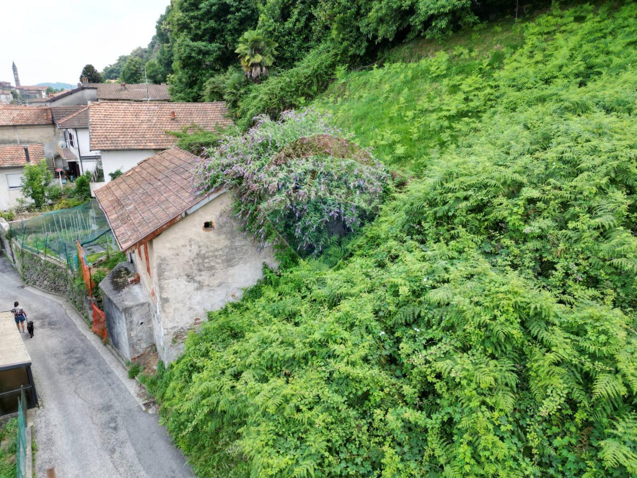 immagine annuncio 7 di 11