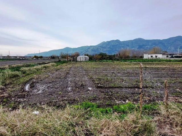 Terreno agricolo, Nocera Inferiore - Foto 1