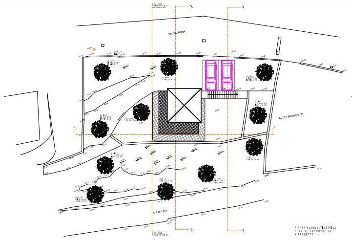 immagine annuncio 11 di 14