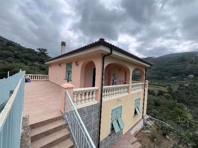 Villa, Vallebona - Foto 1