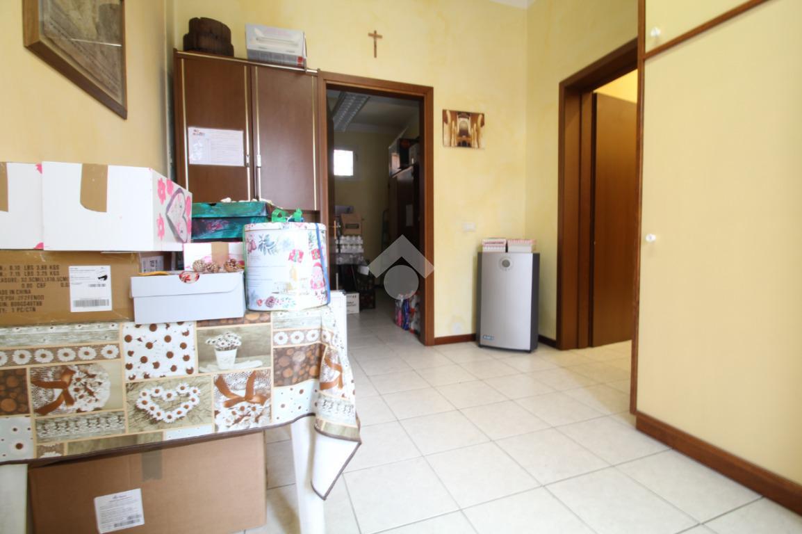 immagine annuncio 5 di 12