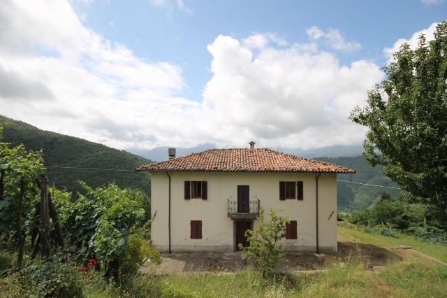 Detached house in Ia S. Pietro 9, Fosciandora - Photo 1