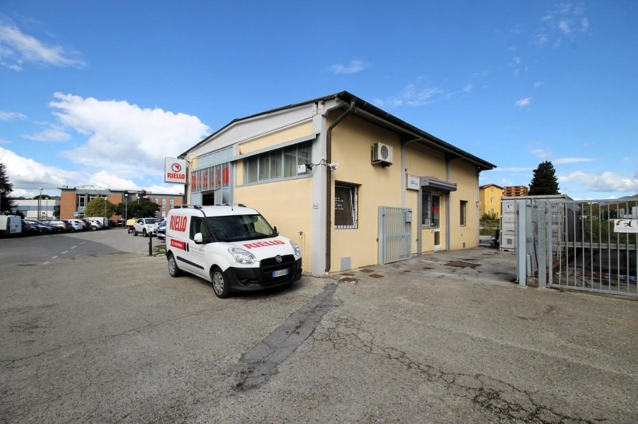 Capannone in delle Ville Prima 695, Lucca, {3} - Foto 1