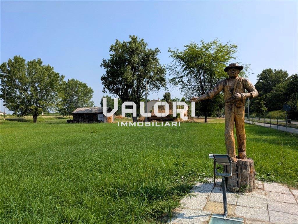 immagine annuncio 5 di 14