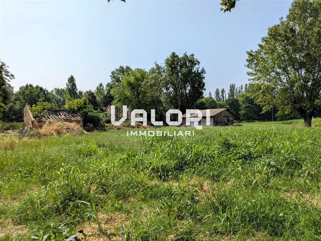 immagine annuncio 11 di 14