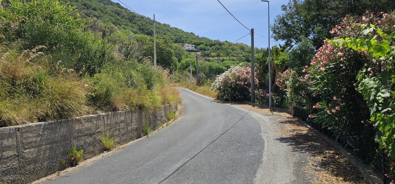 immagine annuncio 6 di 9