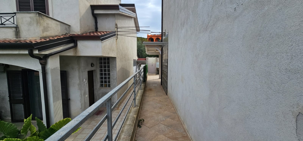immagine annuncio 9 di 14