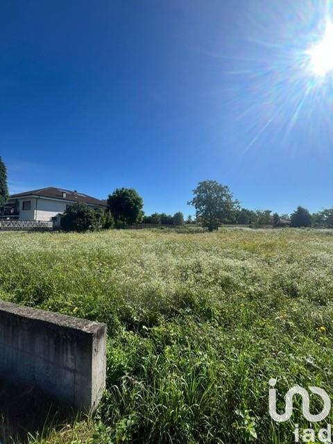 immagine annuncio 9 di 14