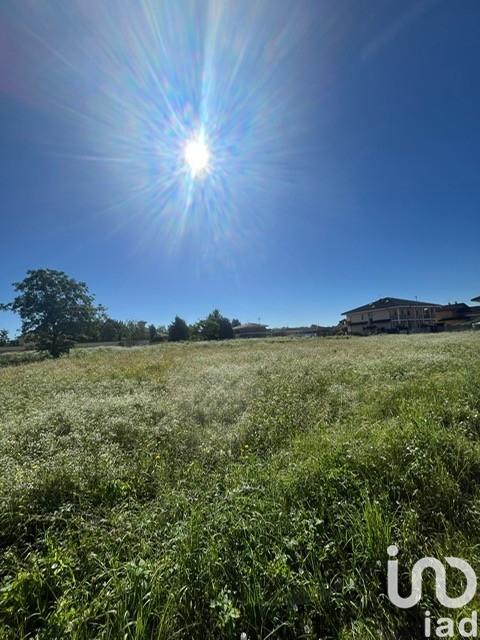 immagine annuncio 10 di 14