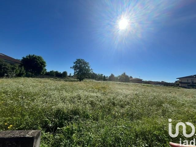 immagine annuncio 11 di 14