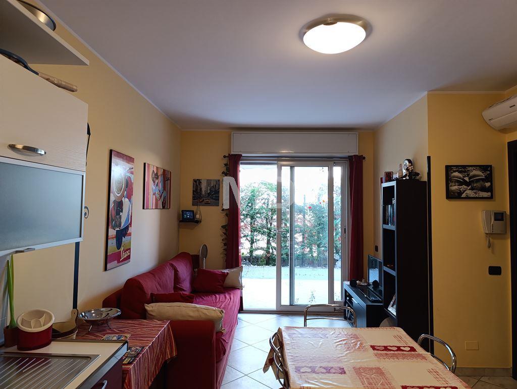 immagine annuncio 9 di 15