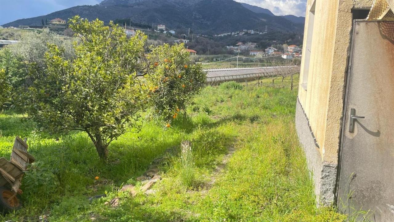 immagine annuncio 5 di 7