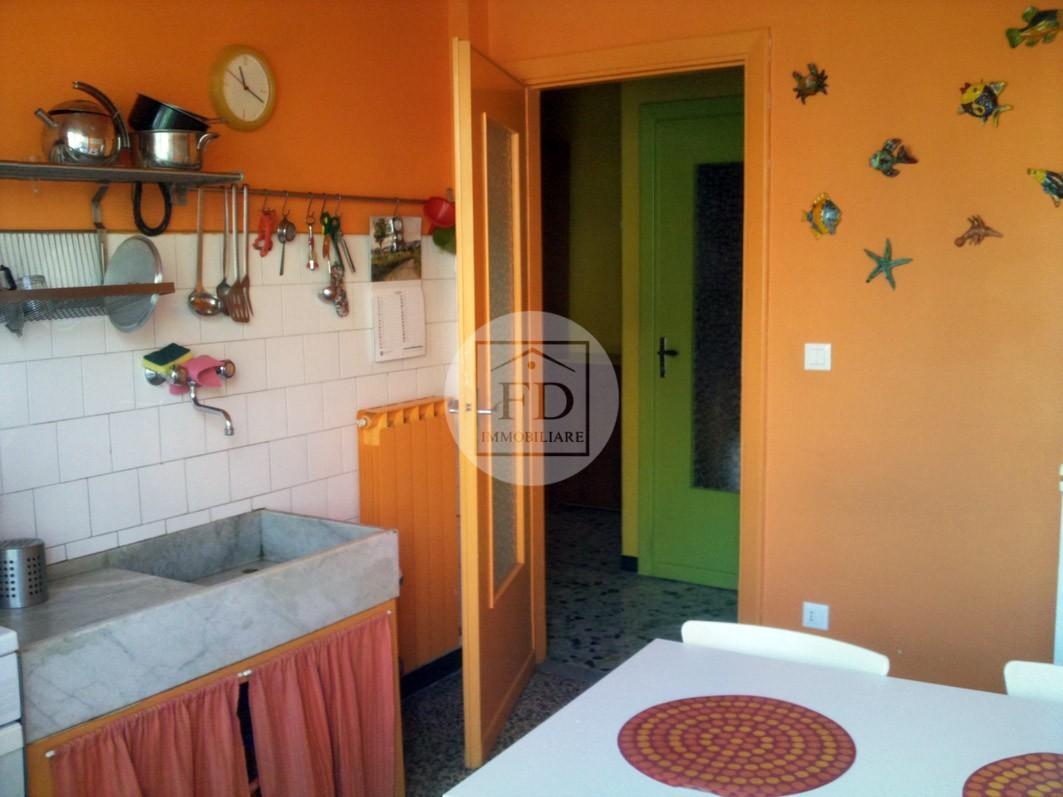 immagine annuncio 4 di 13