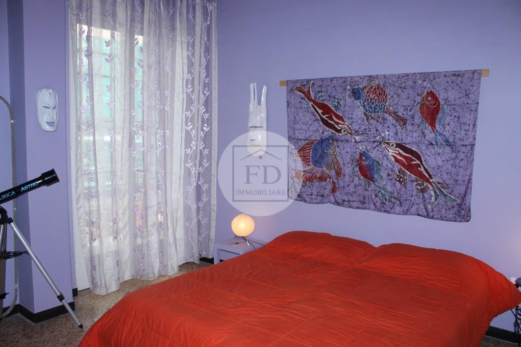 immagine annuncio 7 di 13