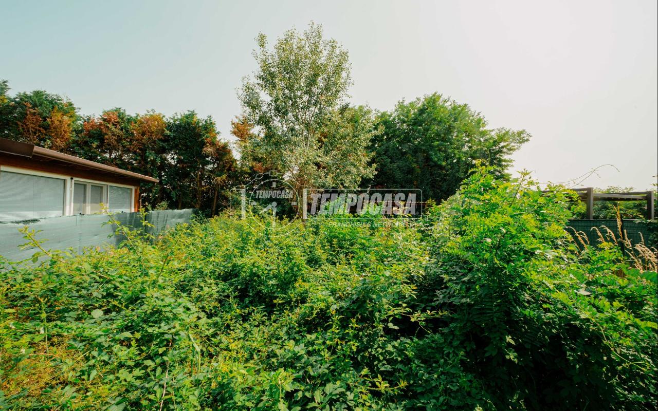 immagine annuncio 5 di 12