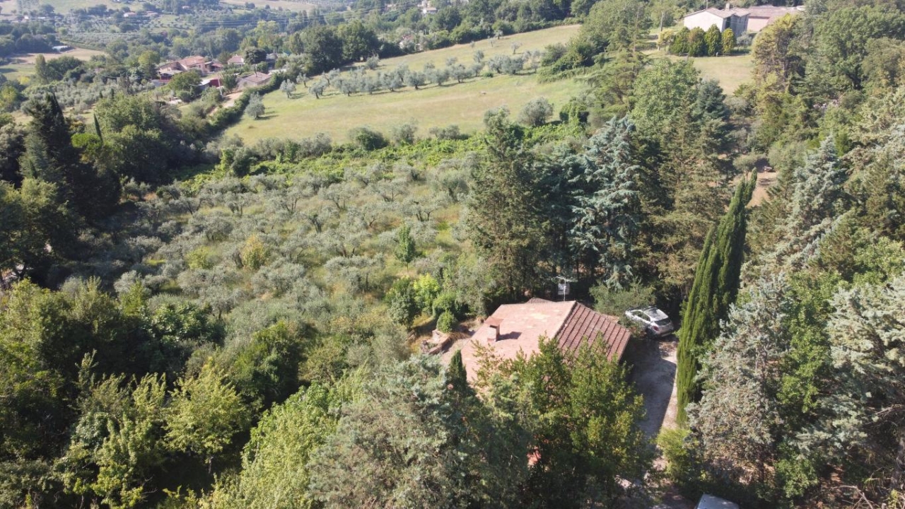 Country house or cottage in {3}, Strada Zingarini - Planimetry 1