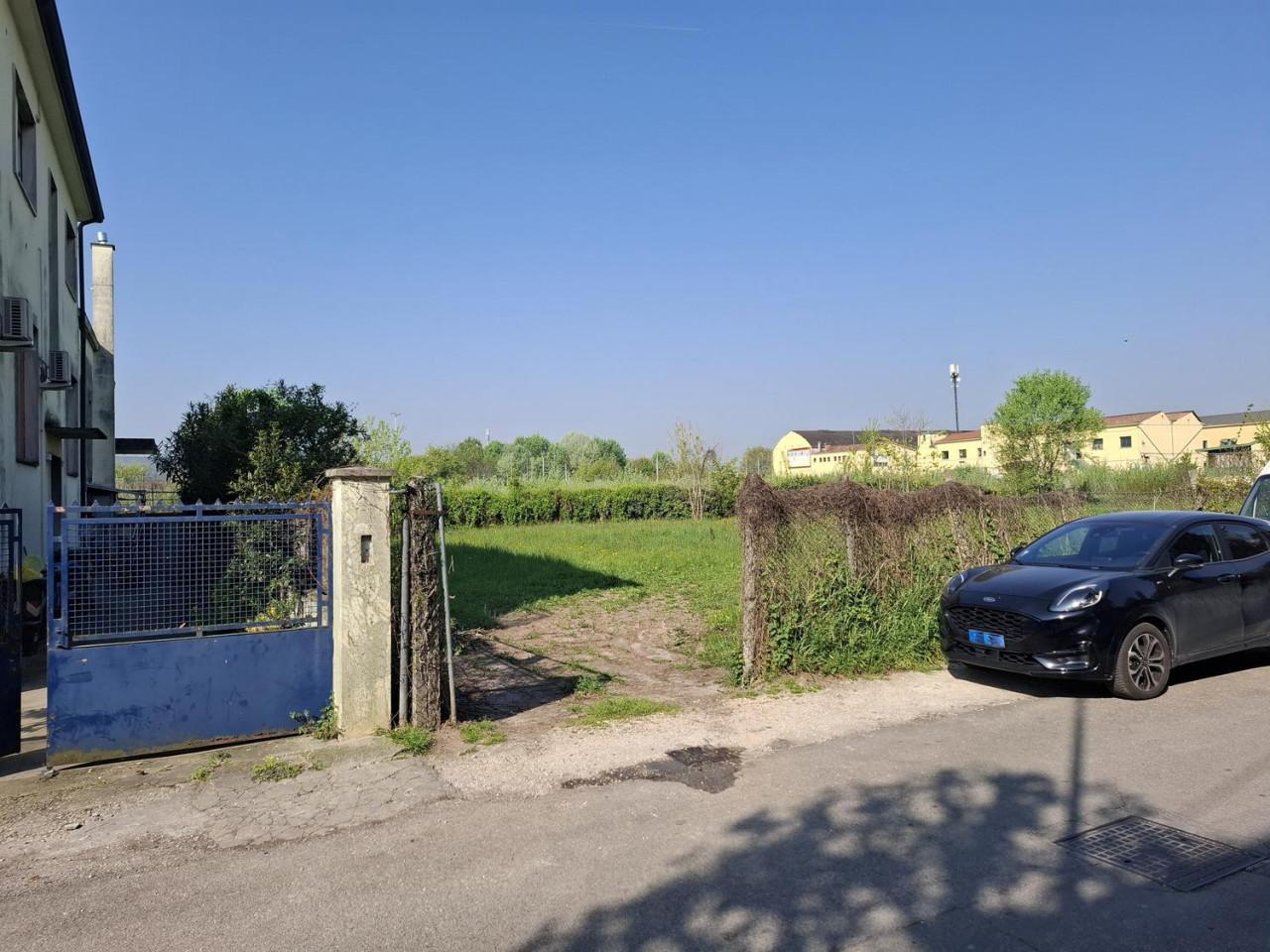 immagine annuncio 6 di 12