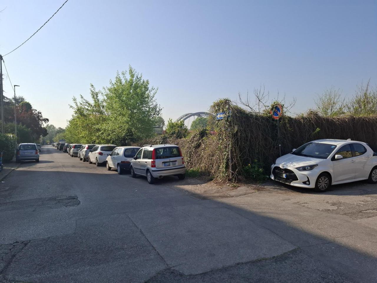 immagine annuncio 8 di 12
