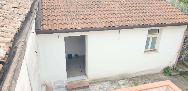 insertion image