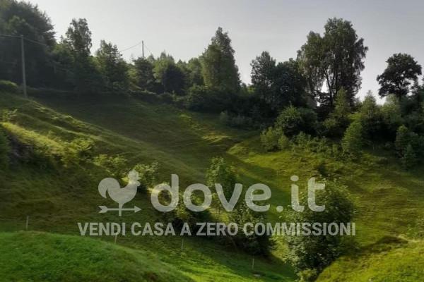 immagine annuncio 4 di 6