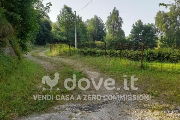 immagine annuncio 5 di 6